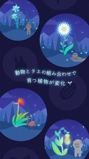 夜之森1.0.0图1