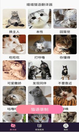 喵喵猫语翻译器图1