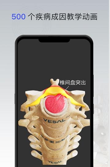 骨科专家图3