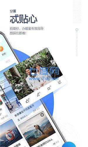 分蛋图1
