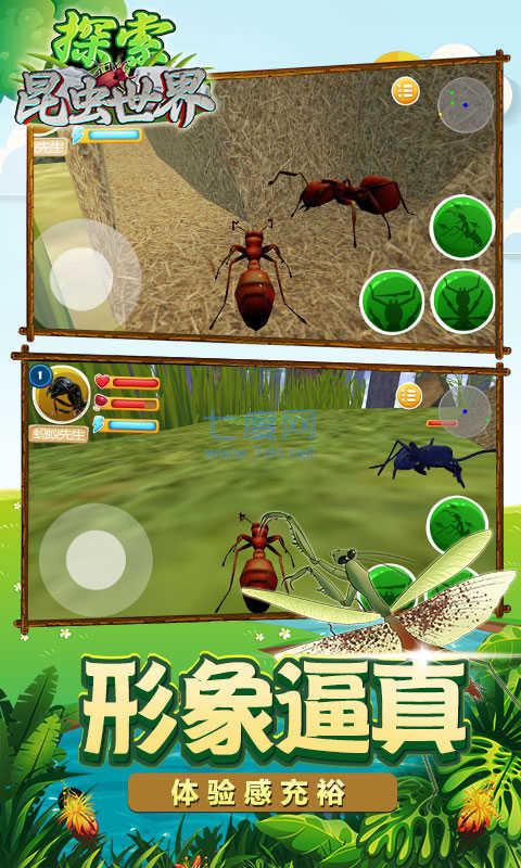 探索昆虫世界图2