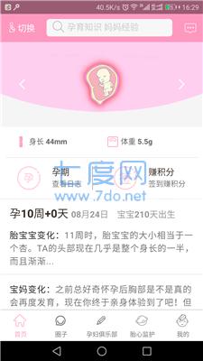 芒果孕味图1