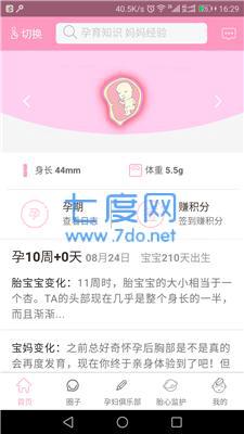 芒果孕味图3