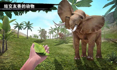 求生岛之旅手机版图3