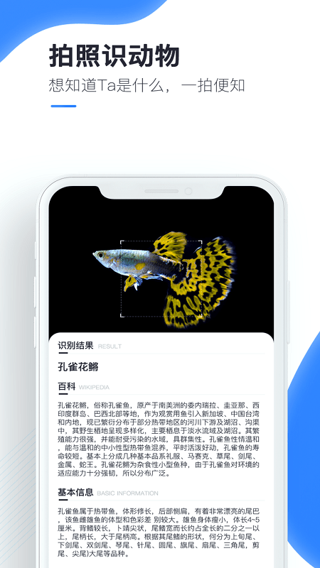 百科扫描王图3