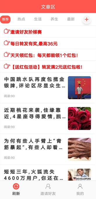 康乃馨图1