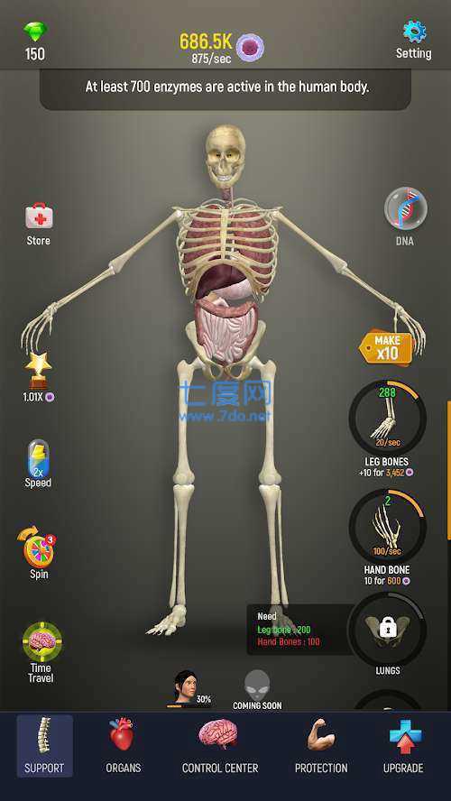 人体模型图1