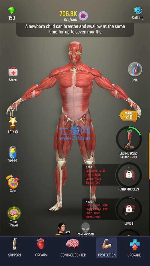 人体模型图3