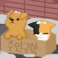 我有猫了游戏