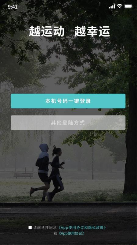 幸运叶子图1