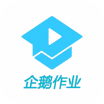 企鹅作业安卓版