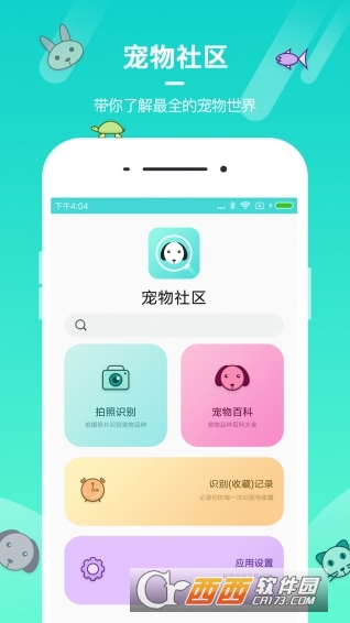 宠物养成大师