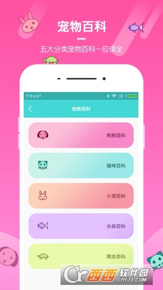 宠物养成大师