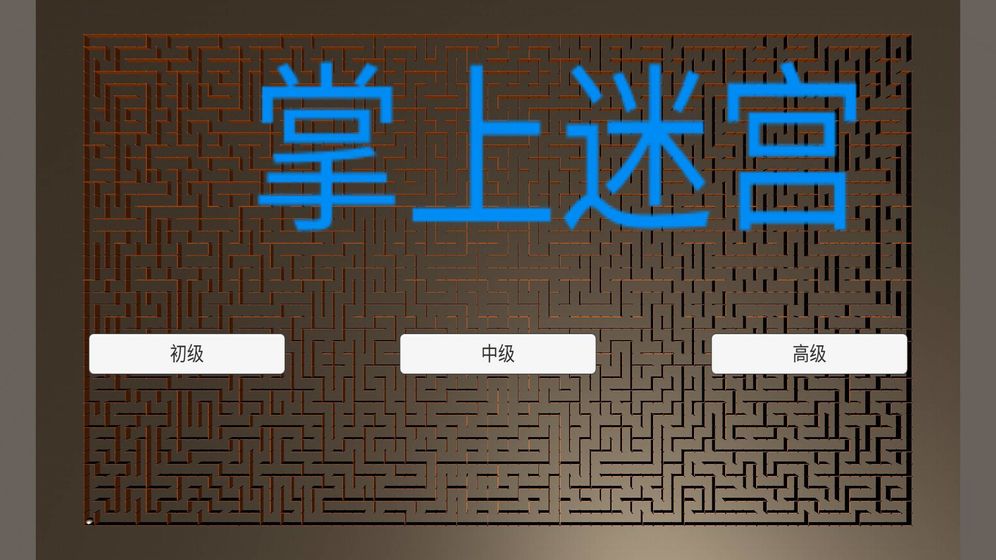 掌上迷宫图3