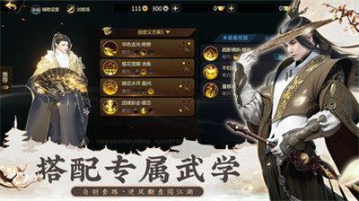 百将江湖之飞仙安卓版图2