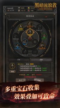 黑暗流浪者图5