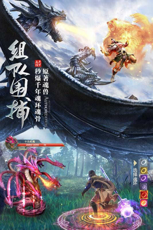 斗罗大陆3d游戏图2