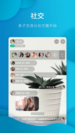 西瓜皮图3