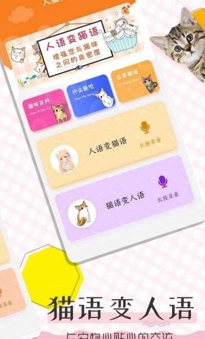 猫语翻译宝安卓版图2