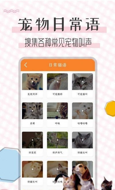 猫语翻译宝