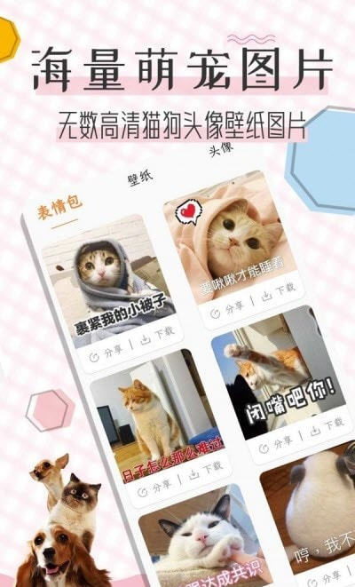 猫语翻译宝安卓版图4