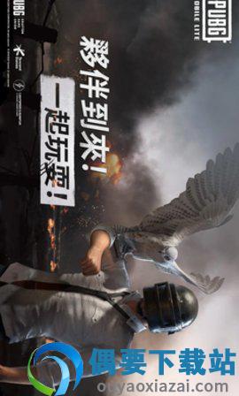 绝地求生国际服手游截图2