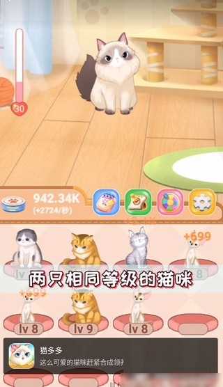 猫多多图1