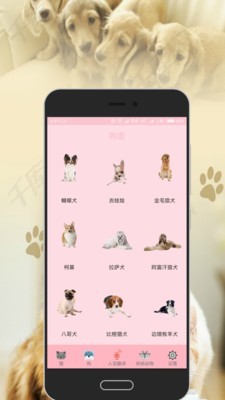 人狗猫交流器安卓版图1