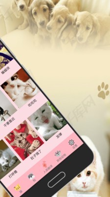 人狗猫交流器安卓版图3