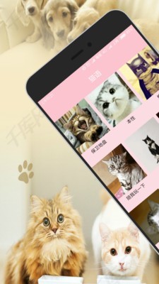 人狗猫交流器安卓版图2