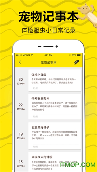 猫狗翻译图2