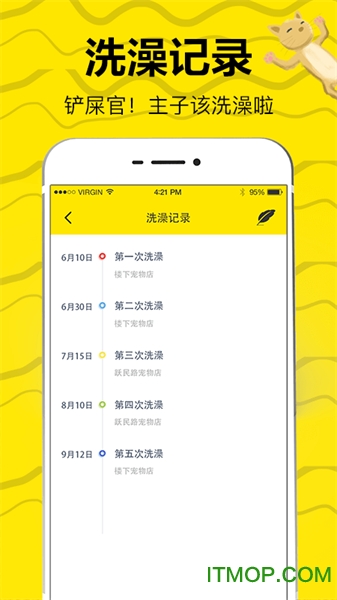 猫狗翻译图3
