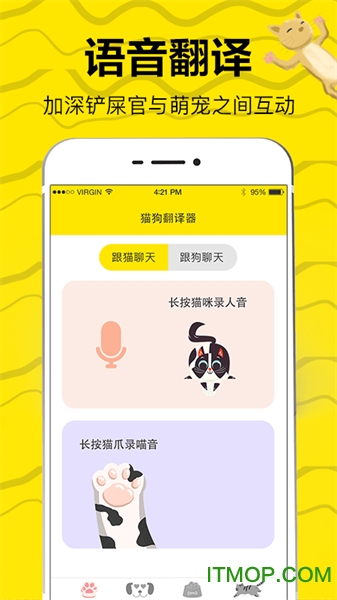 猫狗翻译图4