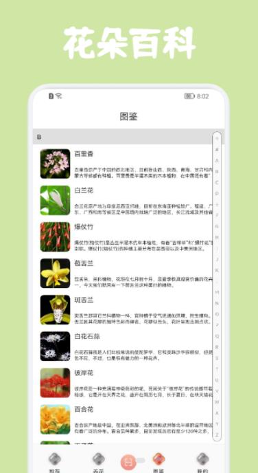 识花拍照帮图2