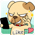 diy表情包app(附带每日运气)
