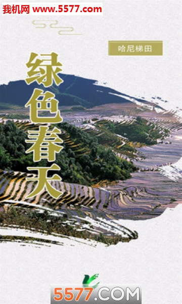 LC绿色春天图2