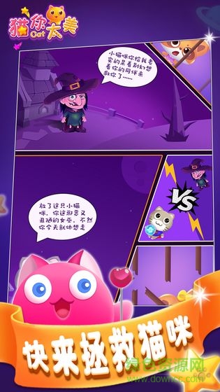 猫你太美图1