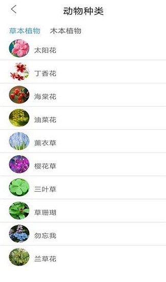 植物品鉴图2