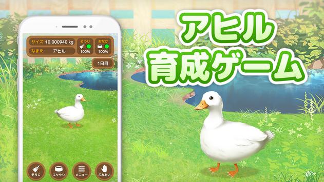 鸭子培养(Duck)图1