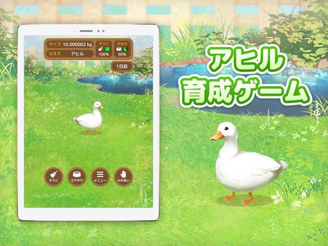 鸭子培养(Duck)图2