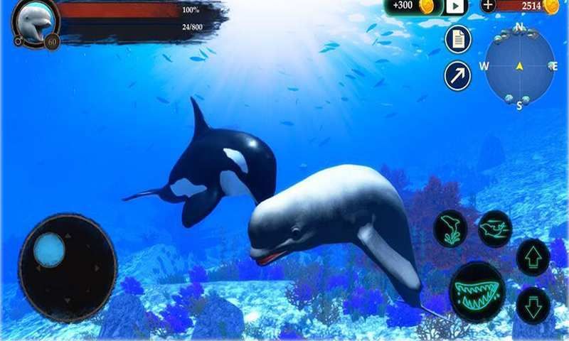 海洋大捕杀游戏手机版安卓版图3