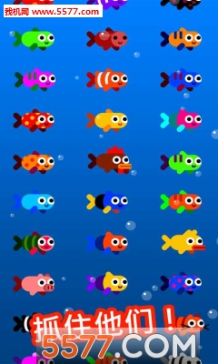 行鱼流水最新版图3