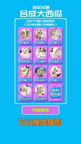 合成大西瓜自定义版图3