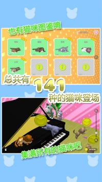 猫咪收藏图1