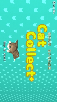 猫咪收藏图2