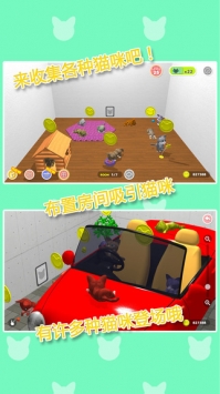 猫咪收藏图5