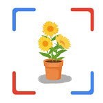 花朵识别app