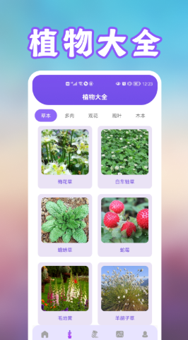 花朵识别app图2