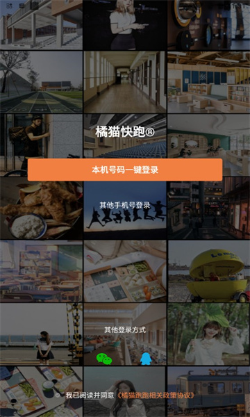 橘猫跑跑图2