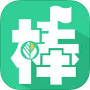 棒导游app
